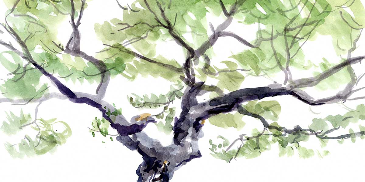 Orlando Private School Orlando Private School